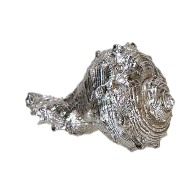 διακοσμητικo κοχυλι silver shell 925 07S-105
